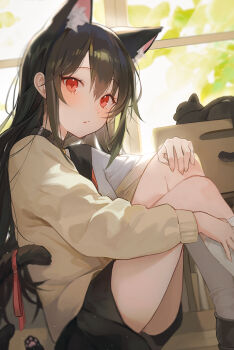 Rule 34 | 1girl, animal ear fluff, animal ears, bad id, bad twitter id, belt collar, black cat, black hair, black sailor collar, black skirt, blush, breasts, cardigan, cat, cat ears, cat girl, cat tail, closed mouth, collar, day, e name, highres, hugging own legs, indoors, light particles, looking at viewer, neckerchief, open cardigan, open clothes, original, red eyes, red neckerchief, sailor collar, school uniform, shirt, sitting, skirt, small breasts, socks, solo, sunlight, tail, white shirt, white socks, window, yellow cardigan