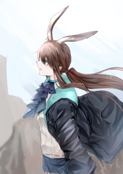 Rule 34 | 1girl, amiya (arknights), animal ears, arknights, ascot, black jacket, blue ascot, blue collar, blue eyes, brown hair, closed mouth, collar, commentary request, cowboy shot, from side, hair tie, highres, jacket, long hair, long sleeves, open clothes, open jacket, partial commentary, profile, shikitsuki, solo, standing, sweater, white sweater