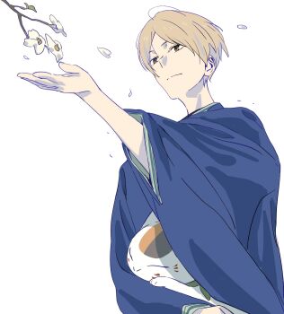 Rule 34 | 1boy, animal, arm up, blonde hair, blue kimono, branch, brown eyes, cat, closed eyes, closed mouth, falling petals, flower, highres, holding, holding animal, holding cat, japanese clothes, kimono, looking at flowers, male focus, multicolored cat, nakmini, natsume takashi, natsume yuujinchou, nyanko-sensei, parted bangs, petals, simple background, white background, white flower