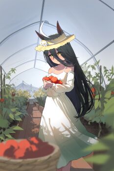 Rule 34 | 1girl, absurdres, ahoge, animal ears, bare shoulders, basket, black hair, blush, collarbone, commentary, detached sleeves, dev grater, dress, flower, greenhouse, hair between eyes, hat, hat flower, highres, holding, horse ears, horse girl, horse tail, long bangs, long hair, long hair between eyes, manhattan cafe (umamusume), multicolored hair, parted lips, plant, sleeveless, sleeveless dress, solo, tail, tomato, umamusume, very long hair, white dress, white hair, white sleeves, yellow eyes