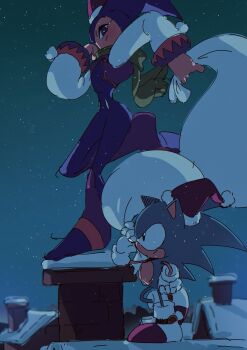 1boy 1other 5d_yk5302 black_eyes chimney christmas company_connection furry furry_male gloves hat highres holding holding_sack nights_(character) nights_into_dreams sack santa_costume santa_hat smile snow sonic_(series) sonic_the_hedgehog sonic_the_hedgehog_(classic)