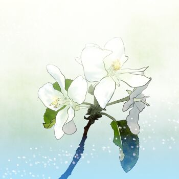 belusyuta commentary_request flower flower_focus gradient_background highres no_humans original plant white_flower white_lily