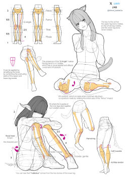 2girls absurdres anatomy animal_ears ass bimel_isabella bone breasts character_request final_fantasy final_fantasy_xiv greyscale highres how_to long_hair medium_breasts monochrome multiple_girls simple_background sitting spot_color wariza white_background x-ray