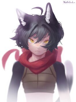 Rule 34 | 1girl, :<, animal ear fluff, animal ears, artist name, black hair, cat ears, cat girl, cat tail, dungeon meshi, highres, izutsumi, kimchunsik, red scarf, scarf, short hair, simple background, slit pupils, solo, tail, twitter username, upper body, white background, yellow eyes