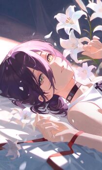 1girl absurdres bare_shoulders black_choker chainsaw_man choker double-parted_bangs falling_petals flower green_eyes hair_between_eyes heichanart highres light_smile long_bangs looking_at_viewer lying parted_lips petals portrait purple_hair purple_ribbon red_ribbon reze_(chainsaw_man) ribbon shadow shirt short_hair sleeveless sleeveless_shirt solo white_flower white_petals white_shirt