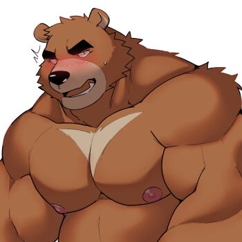 1boy ^^^ animal_ears bara bear_boy bear_ears biceps blush brown_fur commentary english_commentary fang furry furry_male highres juuichi_mikazuki looking_at_viewer male_focus minkz_(whitebeast20) morenatsu nipples open_mouth pectorals shy sweatdrop white_background