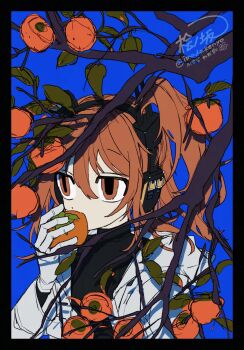 1girl a.i._voice adachi_rei black_border blue_background border branch commentary food fruit hand_up hashtag-only_commentary highres hinoki_(yesfish1117) holding holding_food holding_fruit holding_orange one_side_up orange_(fruit) orange_eyes orange_hair orange_tree solo symbol-only_commentary upper_body utau