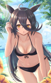 Rule 34 | 1girl, ahoge, animal ears, bare shoulders, beach, bikini, black bikini, black hair, blue sky, blush, breasts, cloud, collarbone, commentary request, flower, hair between eyes, highres, horse ears, horse girl, leaning forward, long bangs, long hair, looking at viewer, manhattan cafe (umamusume), multicolored hair, navel, ocean, outdoors, palm tree, parted lips, sky, small breasts, solo, stomach, swimsuit, thurumu, tree, umamusume, water, white hair, yellow eyes
