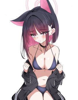 1girl animal_ears bikini black_bikini black_choker black_hair black_jacket blue_archive breasts cat_ears choker cleavage collarbone colored_inner_hair commentary_request halo highres jacket kazusa_(blue_archive) medium_breasts molt_next_dmp multicolored_hair open_clothes open_jacket pink_hair pink_halo red_eyes short_hair simple_background sitting solo swimsuit thigh_gap white_background