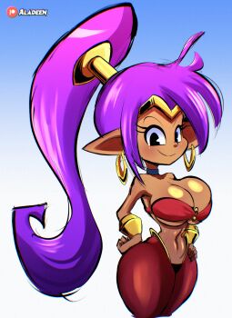 Rule 34 | 1girl, aladeen, breasts, cleavage, dark-skinned female, dark skin, earrings, highres, hoop earrings, jewelry, large breasts, long hair, looking at viewer, navel, ponytail, purple hair, shantae, shantae (series), smile, solo, thick thighs, thighs, wide hips