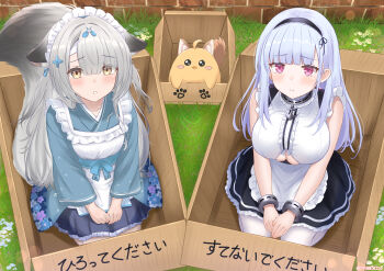 2girls :o absurdres ahoge alternate_costume anchor_choker anchor_necklace animal_ears apron artist_name azur_lane baby_animal bandaged_head bandages bare_shoulders bird black_hairband blue_kimono blue_ribbon blush box breasts brick_wall brown_tail cardboard_box cat_ears cat_tail center_frills chick choker cleavage closed_mouth clothing_cutout collarbone commentary_request day dido_(azur_lane) droopy_ears earrings enmaided floral_print flower fox_ears fox_girl fox_tail framed_breasts frilled_apron frilled_choker frills from_above frown grass grey_hair hair_flower hair_ornament hair_ribbon hairband hands_on_lap heart heart_earrings highres in_box in_container japanese_clothes jewelry kimono kneeling lace-trimmed_hairband lace_trim large_breasts large_tail long_hair long_sleeves looking_at_viewer looking_up maid maid_apron maid_headdress manjuu_(azur_lane) miyuki_(azur_lane) miyuki_(shopping_rendezvous)_(azur_lane) multiple_girls necklace official_alternate_costume open_mouth outdoors paashe parted_lips paw_print pleading_eyes purple_eyes ribbon skindentation skirt sleeveless small_breasts tail tearing_up teeth thighhighs translation_request underboob underboob_cutout very_long_hair wa_maid waist_apron white_apron white_hair white_thighhighs wide_sleeves yellow_eyes