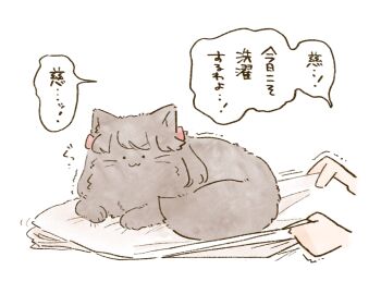 ._. 1girl :3 animal animal_focus animalization bed_sheet cat commentary_request disembodied_hand fujishima_megumi heavy highres holding holding_sheet link!_like!_love_live! love_live! mashikaku_(ma4kaku10fu) otomune_kozue pulling simple_background solo_focus speech_bubble trembling two_side_up v-shaped_eyebrows virtual_youtuber white_background