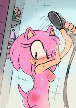 1girl :o amy_rose armpits ass back bare_back bare_legs blush breasts cintraarts completely_nude dildo embarrassed flat_chest green_eyes highres indoors legs looking_back medium_hair nipples nude petite pink_fur pink_hair sega sex_toy shampoo shampoo_bottle shower_(place) showering small_breasts soap_bottle solo sonic_(series) standing surprised tail wet