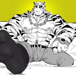 Rule 34 | 1boy, abs, absurdres, animal ears, arknights, bara, belt, chain necklace, chinese commentary, commentary, cross scar, facial scar, feet on table, foot up, furry, furry male, greyscale with colored background, halftone, halftone background, halftone texture, highres, jewelry, looking at viewer, male focus, mountain (arknights), multiple scars, muscular, muscular male, necklace, nipples, pants, partially colored, pectorals, run (arun six), scar, scar across eye, scar on arm, scar on cheek, scar on chest, scar on face, scar on stomach, socks, tiger boy, tiger ears, tiger stripes, topless male, watch, wristwatch