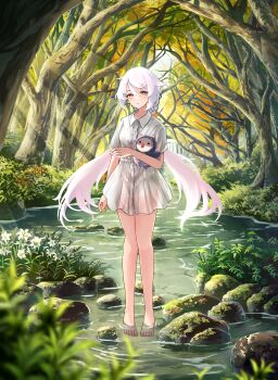 Rule 34 | 1girl, absurdres, arm at side, barefoot, collared shirt, commentary request, day, expressionless, flower, foliage, forest, full body, hair between eyes, hand up, highres, holding, holding stuffed toy, light rays, long hair, looking at viewer, moss, nature, no pants, original, outdoors, parted lips, rock, rua keep love, shirt, short sleeves, solo, standing, stream, stuffed animal, stuffed toy, sunbeam, sunlight, tree, twintails, very long hair, wading, white flower, white hair, white shirt, wing collar