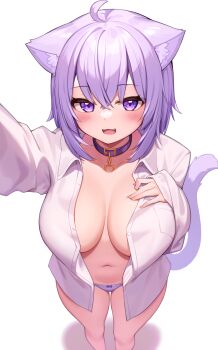 1girl :3 :d ahoge animal_ear_fluff animal_ears arm_up bow bow_panties breasts cat_ears cat_girl cat_tail collar collared_shirt deaver fang feet_out_of_frame from_above hand_on_own_chest highres hololive large_breasts long_sleeves looking_at_viewer medium_hair nekomata_okayu nekomata_okayu_(oversized_shirt) no_bra open_clothes open_mouth open_shirt panties purple_bow purple_collar purple_eyes purple_hair purple_panties selfie shirt simple_background smile solo standing tail tail_raised underwear virtual_youtuber white_background white_shirt