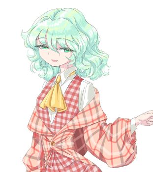Rule 34 | 1girl, ascot, buttons, coat, collared shirt, commentary request, green eyes, green hair, hair between eyes, kazami yuuka, kazami yuuka (pc-98), medium hair, open mouth, plaid clothes, plaid coat, plaid vest, red coat, red vest, s-a-murai, shirt, solo, touhou, touhou (pc-98), vest, wavy hair, white background, white shirt, yellow ascot