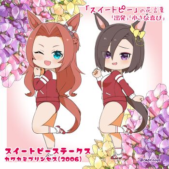 2girls ;d air_groove_(umamusume) animal_ears blue_eyes blush bow braid breasts brown_hair buruma capriccyo commentary_request ear_bow eyes_visible_through_hair flower forehead from_side gradient_background hair_over_one_eye highres horse_ears horse_girl horse_tail jacket kawakami_princess_(umamusume) long_hair looking_at_viewer looking_to_the_side medium_breasts multiple_girls one_eye_closed open_mouth parted_bangs pink_background pink_flower purple_eyes purple_flower red_buruma red_jacket shoes smile socks standing standing_on_one_leg tail track_jacket umamusume very_long_hair white_background white_shoes white_socks yellow_bow yellow_flower