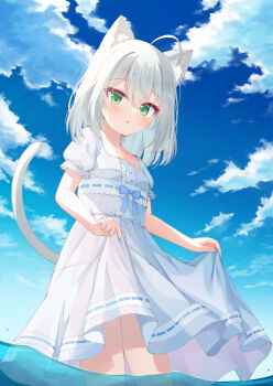 1girl animal_ears blue_sky cat_ears cat_girl cat_tail center_frills cloud cloudy_sky commentary_request commission dress frills green_eyes grey_hair highres isoroku_(isrk) looking_at_viewer medium_hair original parted_lips puffy_short_sleeves puffy_sleeves ribbon-trimmed_dress ribbon_trim short_sleeves skeb_commission skirt_hold sky tail wading water white_dress white_hair