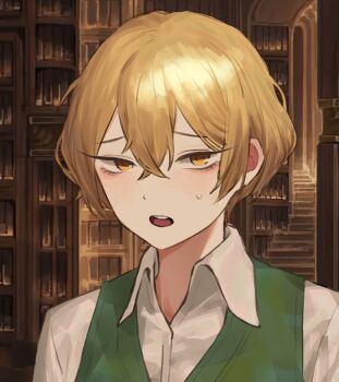 1boy blonde_hair bookshelf commentary_request crossed_bangs dhlrhkrwnals green_vest hair_between_eyes highres indoors korean_commentary library limbus_company looking_at_viewer male_focus open_collar open_mouth portrait project_moon shirt short_hair sinclair_(project_moon) solo stairs sweatdrop teeth undershirt upper_teeth_only vest white_shirt white_sleeves yellow_eyes