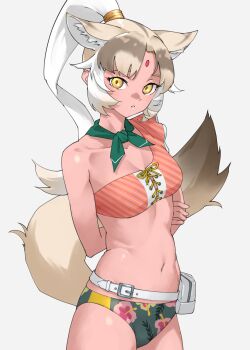 1girl animal_ears bare_shoulders bikini bindi brown_hair collarbone commentary cowboy_shot extra_ears facial_mark floral_print floral_print_bikini forehead forehead_mark frilled_bikini frills green_bikini green_scarf grey_background highres indian_wolf_(kemono_friends) kemono_friends kemono_friends_3 light_brown_hair looking_at_viewer midriff multicolored_hair navel orange_bikini ponytail print_bikini scarf sidelocks simple_background single-shoulder_bikini sleeveless solo swimsuit tail tanabe_(fueisei) white_hair wolf_ears wolf_girl wolf_tail yellow_eyes