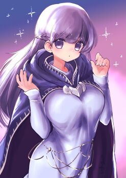 1girl blue_dress blush braid breasts cape cloak dress fire_emblem fire_emblem:_the_binding_blade highres large_breasts long_hair long_sleeves looking_at_viewer nintendo purple_cloak purple_eyes purple_hair solo sophia_(fire_emblem) studio_sugimoto very_long_hair
