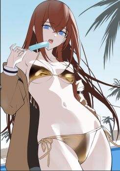 1girl bikini blue_eyes breasts brown_hair commentary_request food hair_between_eyes ice_cream jacket long_hair looking_at_viewer makise_kurisu navel science_adventure shirase_rin solo steins;gate swimsuit unfinished