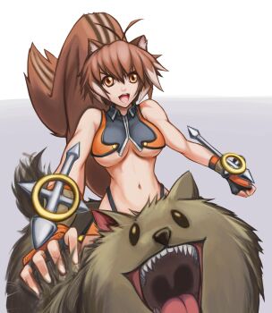 1girl animal_ears antenna_hair arc_system_works bare_shoulders blazblue blazblue:_continuum_shift breasts brown_eyes brown_hair crop_top dog fingerless_gloves fur gloves halterneck highleg highleg_panties highres hybridmink hype_dog large_breasts makoto_nanaya midriff navel panties squirrel_ears squirrel_tail tail toned toned_female tonfa underboob underwear weapon
