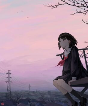 Rule 34 | 1girl, acorn dongur1, artist logo, black serafuku, black shoes, black skirt, black socks, brown eyes, brown hair, building, commentary request, foot dangle, from side, high up, highres, house, ledge, logo, looking ahead, neckerchief, original, outdoors, pink sky, power lines, red neckerchief, sailor collar, school uniform, serafuku, shoes, short hair, simple bird, sitting, skirt, sky, socks, solo, town, transmission tower, white sailor collar