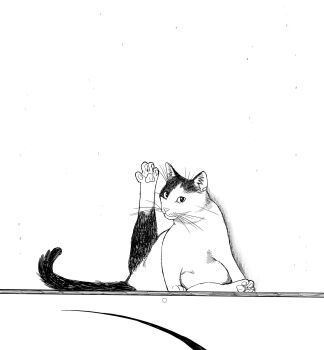 Rule 34 | animal, animal focus, cat, closed mouth, commentary request, full body, greyscale, highres, korean commentary, looking at viewer, monochrome, multicolored cat, no humans, original, paw up, pawpads, sat0 manga, simple background, whiskers, white background