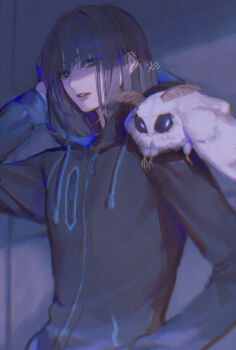 1boy absurdres blanca_(fate) blue_eyes bug commentary fate/grand_order fate_(series) highres hood hood_down insect long_hair moth multicolored_hair oberon_(fate) oberon_(moody_summer_oberon)_(fate) oberon_(third_ascension)_(fate) signature suidrawsui two-tone_hair zipper zipper_pull_tab