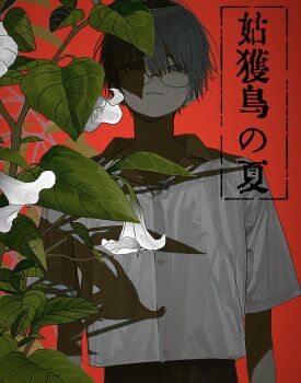 1boy absurdres black_eyes black_hair blunt_bangs closed_mouth collared_shirt expressionless flower glasses highres leaf looking_down male_focus ml_rmi original partially_shaded_face plant red_background shadow shirt short_hair short_sleeves simple_background solo straight-on straight_hair upper_body white_flower white_shirt wind