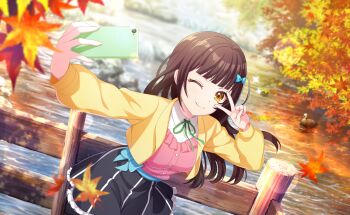 Rule 34 | 1girl, ;), autumn, autumn leaves, black skirt, blue ribbon, blunt bangs, blurry, blurry foreground, blush, breasts, brown hair, cellphone, closed mouth, collared shirt, commentary request, day, depth of field, falling leaves, game cg, hair ornament, highres, holding, holding leaf, holding phone, leaf, leaf hair ornament, long hair, long sleeves, looking at viewer, maple leaf, neck ribbon, official art, one eye closed, outdoors, phone, ribbon, river, selfie, shirt, skirt, smartphone, smile, solo, standing, third-party source, tree, v, v over eye, water, world dai star, yanagiba panda, yellow eyes