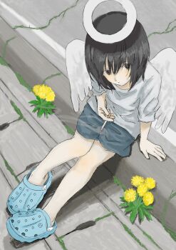 1girl angel bare_legs black_hair blue_shorts bob_cut cigarette crack crocs dandelion expressionless flower from_above grass halo hand_on_ground highres holding looking_up on_ground original outdoors oversized_clothes oversized_shirt parted_lips pavement plant popocna shirt short_hair short_sleeves shorts sidewalk sitting solo white_shirt white_wings wings yellow_flower