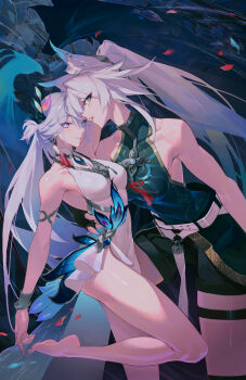 2girls absurdres animal_ears bare_legs bare_shoulders barefoot biguan_xiuxing_zhong blue_eyes breasts chinese_commentary closed_mouth commentary_request dress feixiao_(honkai:_star_rail) fox_ears hair_ornament high_ponytail highres honkai:_star_rail honkai_(series) jewelry long_hair looking_at_viewer multicolored_eyes multiple_girls parted_lips peahen petals ponytail purple_eyes sleeveless smile standing standing_on_one_leg thighs white_hair yao_guang_(honkai:_star_rail)