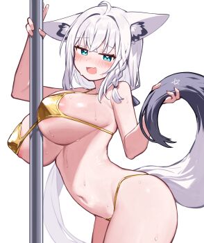 1girl absurdres ahoge animal_ears aqua_eyes areola_slip bikini black_tail blush braid breasts covered_erect_nipples deaver fang fox_ears fox_girl fox_tail groin highres hololive huge_breasts long_hair looking_at_viewer multicolored_hair navel open_mouth pole pole_dancing shirakami_fubuki simple_background skin_fang smile solo stomach stripper_pole sweat swimsuit tail two-tone_hair two-tone_tail virtual_youtuber white_background white_hair white_tail yellow_bikini