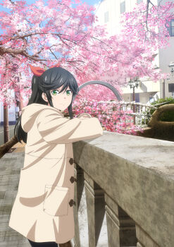 1girl absurdres black_hair black_pants blue_sky building cherry_blossoms closed_mouth cloud coat day green_eyes hair_between_eyes hair_ribbon highres hood hooded_coat key_visual kinme_wakana kirei_ni_shitemoraemasuka long_hair long_sleeves looking_at_viewer official_art outdoors pants ponytail promotional_art railing red_ribbon ribbon sidelocks sky smile solo standing white_coat