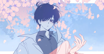 1boy black_eyes black_hair black_shirt blue_sky cherry_blossoms cherry_tree coat day elzfbrvsnr30247 falling_petals hand_up kim_dokja letterboxed looking_at_viewer male_focus omniscient_reader&#039;s_viewpoint open_clothes open_coat outdoors outside_border pastel_colors petals popped_collar shirt short_hair sky solo sparkling_eyes upper_body white_coat wind