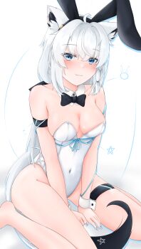 1girl absurdres ahoge animal_ear_fluff animal_ear_hairband animal_ears arm_strap bare_legs black_bow black_bowtie blue_eyes blue_ribbon blush bow bowtie braid breasts commentary_request detached_collar earrings fake_animal_ears fang fox_ears fox_girl fox_tail hair_between_eyes hairband highres hololive jewelry leotard long_hair looking_at_viewer medium_breasts pentagram playboy_bunny rabbit_ear_hairband rabbit_ears ribbon shirakami_fubuki sidelocks simple_background single_braid sitting skin_fang solo st-147 tail thigh_strap virtual_youtuber wariza white_background white_hair white_leotard wrist_cuffs