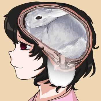 Rule 34 | 1girl, :3, black hair, brain, close-up, commentary, cross-section, from side, highres, inaba tewi, looking ahead, meme, nogguies, rabbit, red eyes, short hair, simple background, skull, solo, symbol-only commentary, touhou, upper body, yellow background