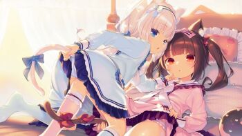 2girls aged_down animal_ear_fluff animal_ears bed blonde_hair blue_bow blue_dress blue_eyes blue_panties blush bow brown_hair buttons cat_ears cat_girl cat_tail chocola_(nekopara) commentary_request dress end_card frilled_dress frilled_panties frilled_pillow frills girl_on_top hair_bow hairband heart_button henreader highres indoors kneehighs knees kodomo_doushi loli long_hair looking_at_viewer looking_back low_twintails lying multiple_girls nekopara no_shoes on_back on_bed panties pantyshot parted_lips pillow pink_bow pink_dress pink_legwear pink_panties red_bow red_eyes rubbing sailor_collar siblings silver_hair sisters slit_pupils socks soles tail tail_bow tail_grab tail_ornament tail_pull twins twintails underwear vanilla_(nekopara) very_long_hair white_hairband white_legwear white_panties yuri