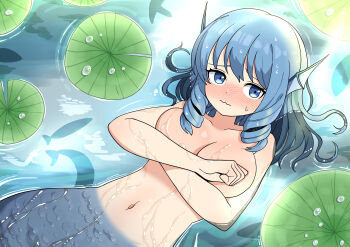 Rule 34 | 1girl, absurdres, afloat, blue eyes, blue hair, blush, breasts, closed mouth, collarbone, commentary, covering breasts, covering privates, ddok, drill hair, drill sidelocks, english commentary, fins, fish, head fins, highres, large breasts, lily pad, looking at viewer, mermaid, monster girl, navel, nude, sidelocks, sweatdrop, touhou, wakasagihime, water, wavy mouth, wet