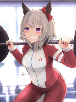 1girl animal_ears barbell blush bow breasts commentary_request curren_chan_(umamusume) ear_bow ear_covers exercising grey_hair hair_between_eyes highres horse_ears horse_girl horse_tail jacket long_sleeves medium_breasts open_mouth pants purple_eyes red_bow red_jacket red_pants red_track_suit short_hair solo squat_(exercise) sweat tail tracen_training_uniform track_jacket track_pants track_suit umamusume weights wnaph