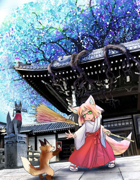 Rule 34 | 1girl, absurdres, animal ears, blonde hair, broom, building, cellphone, doitsuken, female focus, fox, fox ears, fox statue, fox tail, glasses, hakama, hakama skirt, highres, holding, holding broom, inari, japanese clothes, long sleeves, miko, original, parted lips, phone, pigeon-toed, plant roots, red-framed eyewear, red eyes, red hakama, sandals, semi-rimless eyewear, short hair, shrine, skirt, smartphone, solo, standing, statue, tabi, tail, taking picture, tree, under-rim eyewear, v-shaped eyebrows, white legwear