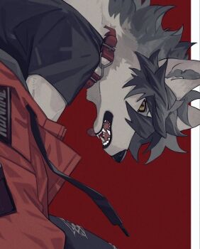 1boy black_shirt body_fur collar commentary_request ear_piercing fuji_166 furry furry_male grey_fur greyscale jacket looking_at_viewer male_focus monochrome original piercing red_background red_jacket shirt simple_background solo upper_body wolf_boy yellow_eyes