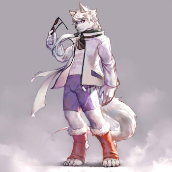 1boy abs animal_ears animal_feet artist_name claws commentary_request digitigrade full_body furry furry_male grey_background highres holding holding_removed_eyewear jacket looking_at_viewer male_focus navel original purple_shorts red_eyes scarf shorts simple_background solo standing sunglasses tail toned toned_male unworn_eyewear white_fur white_hair white_jacket wincalblanke wolf_boy wolf_ears wolf_tail