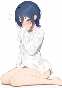 Rule 34 | 1girl, absurdres, blue eyes, blue hair, blush, closed mouth, commentary request, earclip, flying sweatdrops, highres, hiodoshi ao, hololive, hololive dev is, lunch boxer, medium hair, nose blush, shirt, simple background, sitting, solo, virtual youtuber, wariza, white background, white shirt, wolf cut