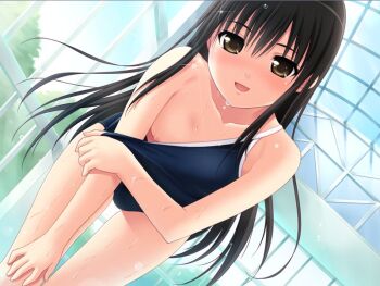 Rule 34 | 1girl, bishoujo (game), black hair, blush, brown eyes, clothes pull, competition school swimsuit, flat chest, game cg, long hair, nipple slip, nipples, nonohara miki, one-piece swimsuit, one-piece swimsuit pull, open mouth, school swimsuit, smile, solo, swimsuit, tachibana kyouka (bishoujo), wet