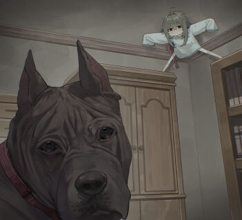 Rule 34 | 1girl, absurdres, ahoge, animal collar, black eyes, bookshelf, ceiling, collar, commentary, corner, dog, english commentary, grey hair, hair between eyes, hair intakes, highres, indoors, k hottok, legs apart, long hair, multicolored hair, nervous sweating, original, outstretched arms, oversized clothes, oversized shirt, purple hair, shirt, sleeves past fingers, sleeves past wrists, spread arms, sweat, very long hair, wardrobe, white shirt