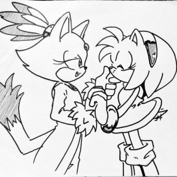 2girls amy_rose blaze_the_cat dress furry furry_female half-closed_eyes imminent_kiss interlocked_fingers monochrome multiple_girls randomguy999 short_hair smile sonic_(series) traditional_media yuri